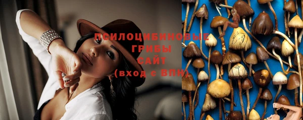 индика Беломорск