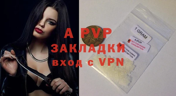 прущие крисы Белокуриха