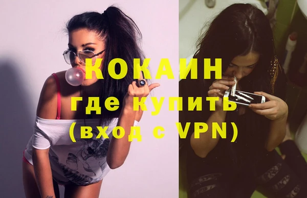 индика Беломорск