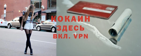 индика Беломорск