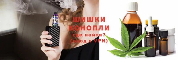 индика Беломорск
