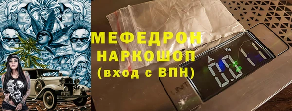 индика Беломорск