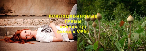прущие крисы Белокуриха