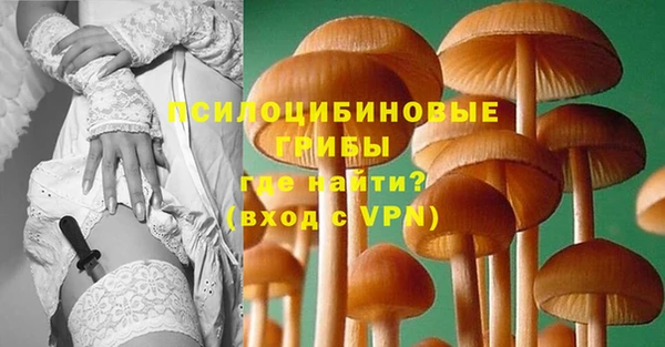 прущие крисы Белокуриха