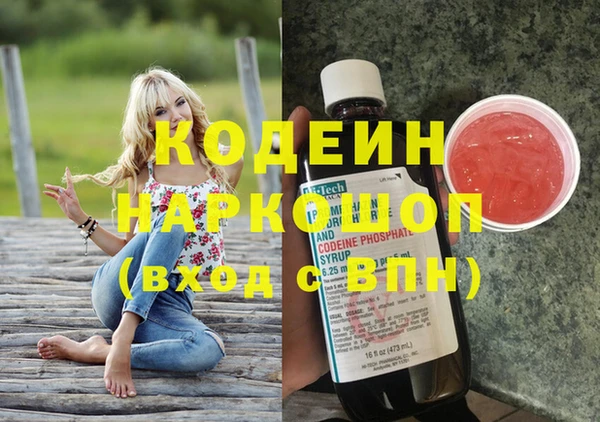 индика Беломорск