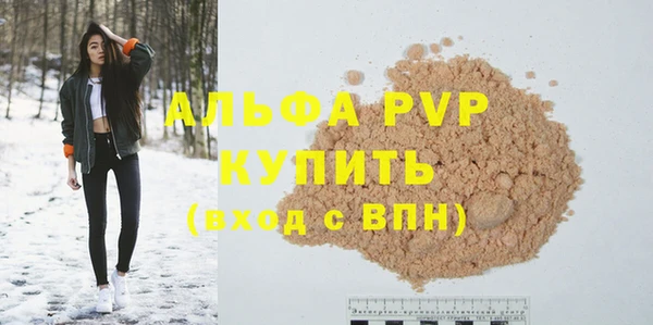 индика Беломорск